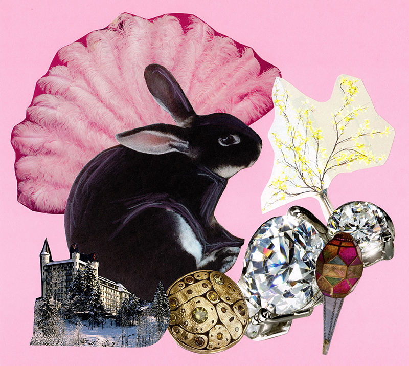Collage of a bunny rabbit.